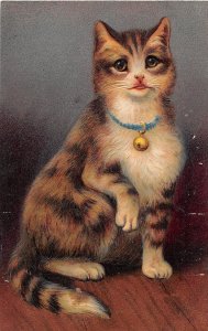 G54/ Cat Pet Animal Postcard Germany Embossed Beautiful Cat Bell 16