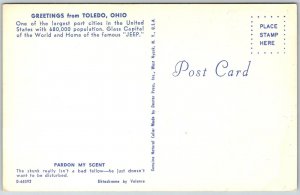 Toledo Ohio 1950s Comic Postcard Skunk Pardon My Scent