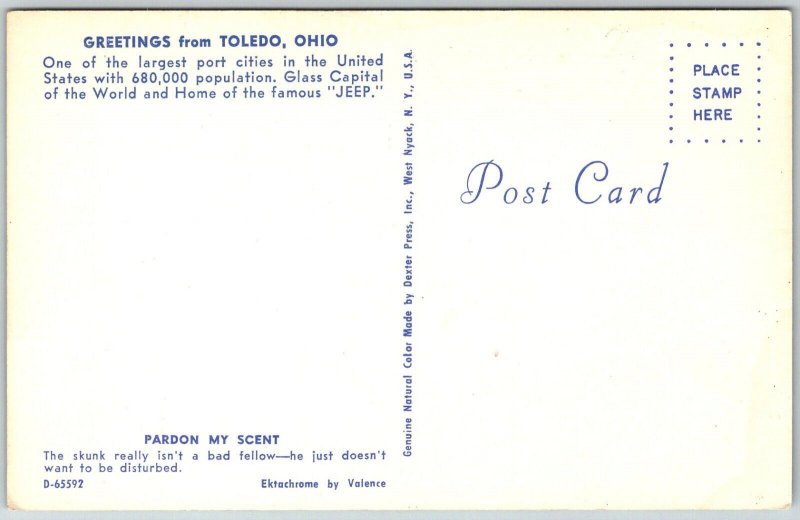 Toledo Ohio 1950s Comic Postcard Skunk Pardon My Scent
