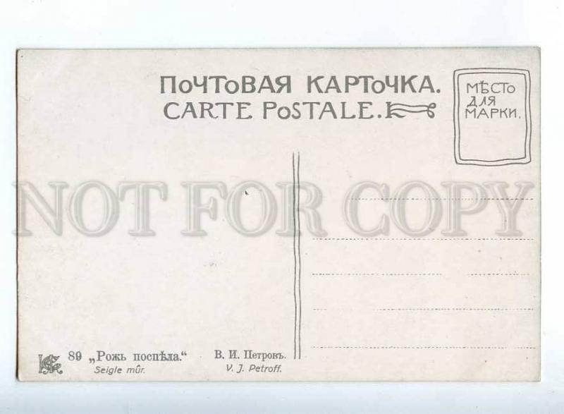 224611 RUSSIA PETROV Rye ripe SELIN #89 vintage postcard