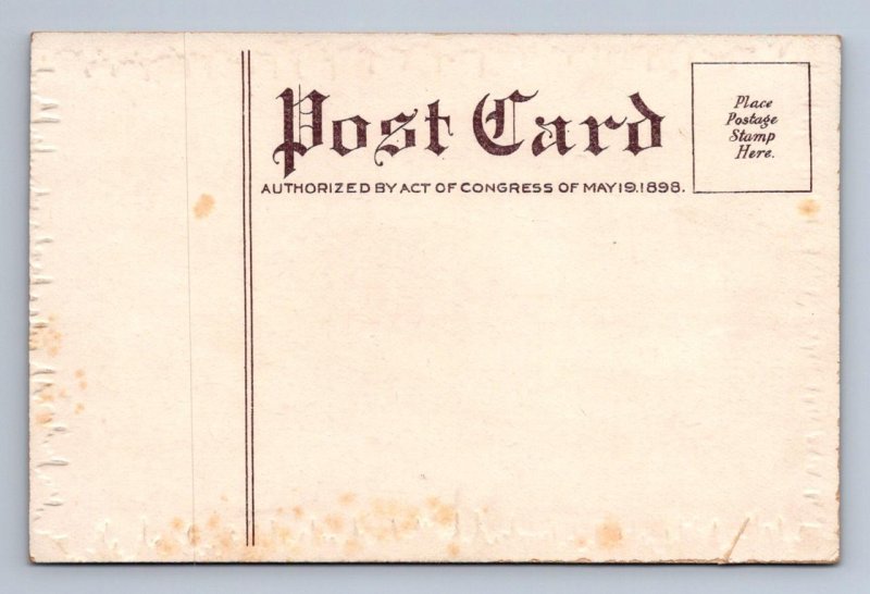 VALENTINE HOLIDAY GIRL HAT POSTCARD (c. 1907)