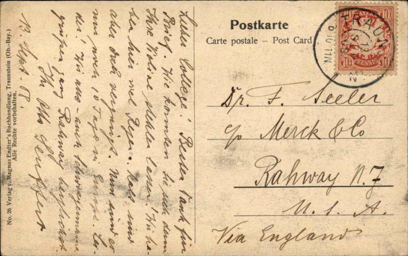 Traunstein Austria Village Bird's Eye View c1910 Vintage Postcard