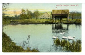 ME - Caribou. Old Fish Hatchery