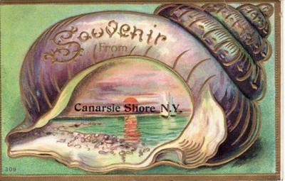 NY   CANARSIE SHORE  Seashell Border  1910 embossed postcard