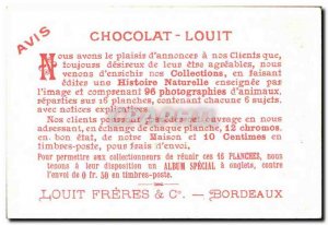 Chromo Louit Chocolate glossy Erolia