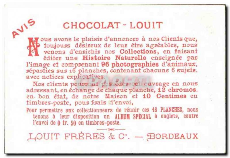 Chromo Louit Chocolate glossy Erolia