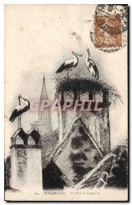 Postcard Old Strasbourg An Storks Nest