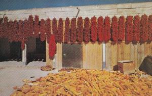 Mexican Chili & Corn Growing Con Carne Harvest Mexico Postcard