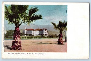 Santa Barbara California Postcard Potter Hotel Pine Tree c1905 Vintage Antique