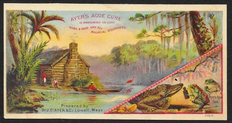 VICTORIAN TRADE CARD Ayers Ague Cure Boat Cabin Swamp Frogs Alligator at Shore