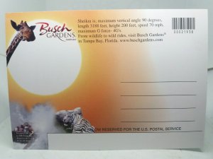 Sheikra Rollercoaster Ride Busch Gardens Tampa Bay Florida  Postcard