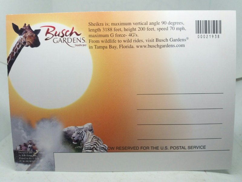 Sheikra Rollercoaster Ride Busch Gardens Tampa Bay Florida  Postcard