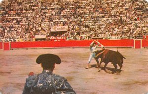 La Suerte Los Banderilleros, Placing Banderllas in the Ring, Bullfighting 1959 