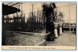 Forest Iowa IA Postcard Tropical Gardens At Hill City Greenhouse 1911 Antique