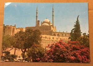  UNUSED POSTCARD -  THE MOHAMED ALY MOSQUE, CAIRO, EGYPT