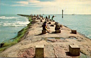 Texas Gulf Coast typical Fishing Scene Off Jetty