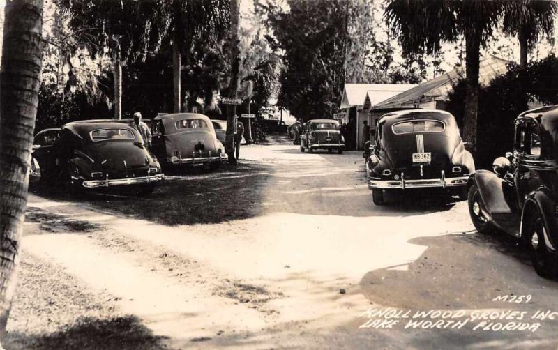 Lake Worth Florida Knollwood Groves Cars Parked Real Photo Postcard AA11188