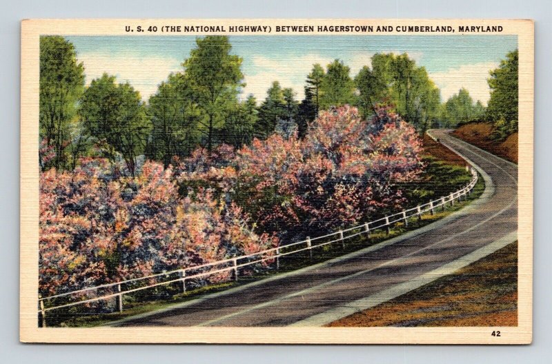 Hagerstown & Cumberland Maryland US 40 Highway Scenic Roadway Linen Postcard 