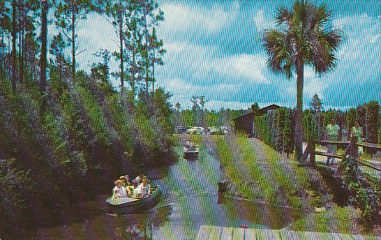 Okefenokee Swamp Park Waycross Georgia