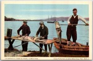 Les Pêcheurs De Gaspe Au Travail A Belle Anse France Fishermen, Postcard
