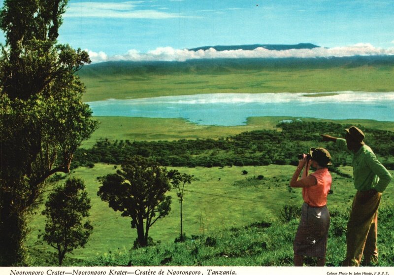 Vintage Postcard Ngorongoro Crater Garden Of Eden Animal Home Tanzania 