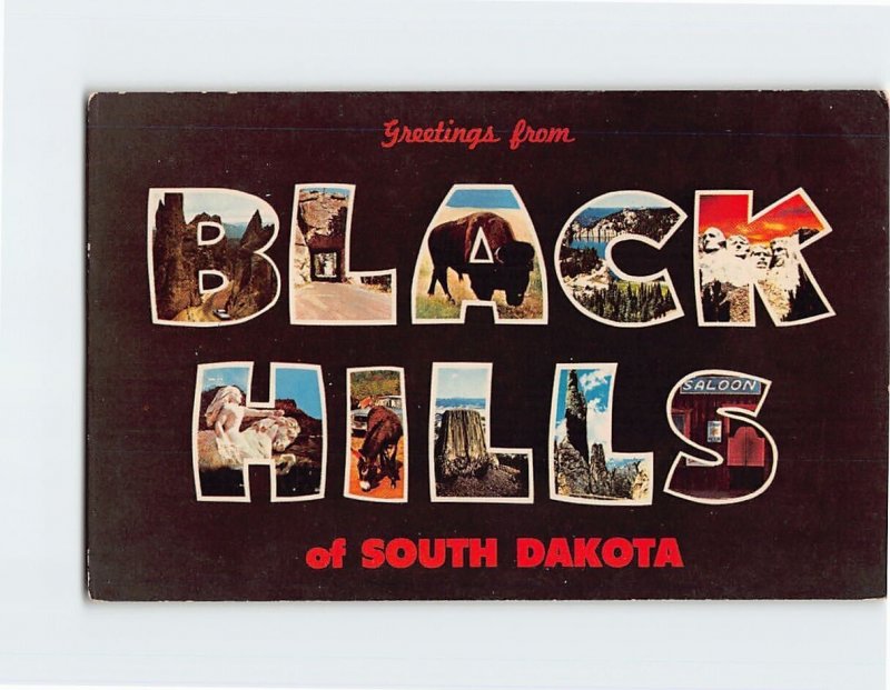 Postcard Greetings from Black Hills of South Dakota