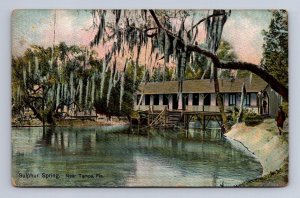 SULPHUR SPRING NEAR TAMPA FLORIDA POSTCARD (c. 1910) ##