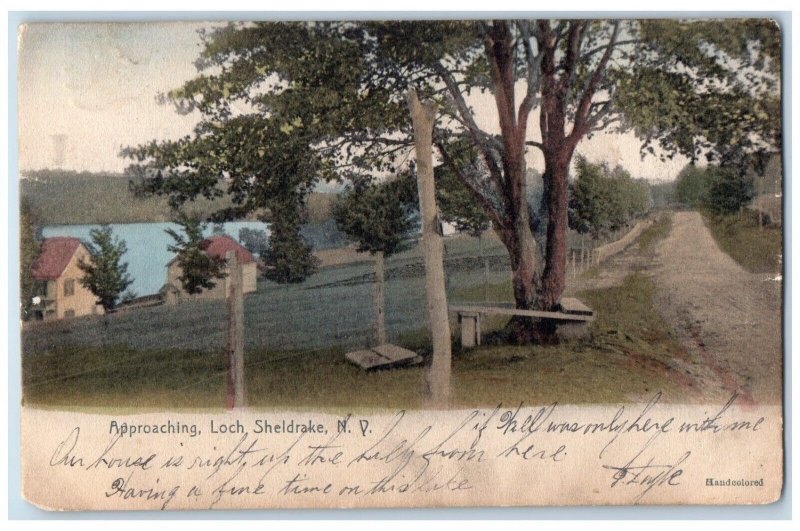 1906 Approaching Loch Sheldrake New York NY Vintage Antique Posted Postcard 