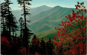 North Carolina Blue Ridge Mountains The Craagy Mountains