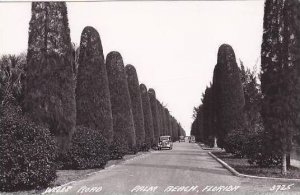 Florida Palm Beach Wells Road Real Photo RPPC