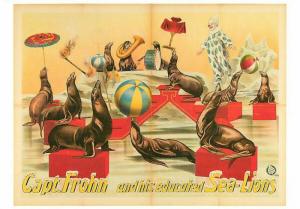 Captain Frohn and Educated Sea Lions Performing Seals Circus Modern Postcard