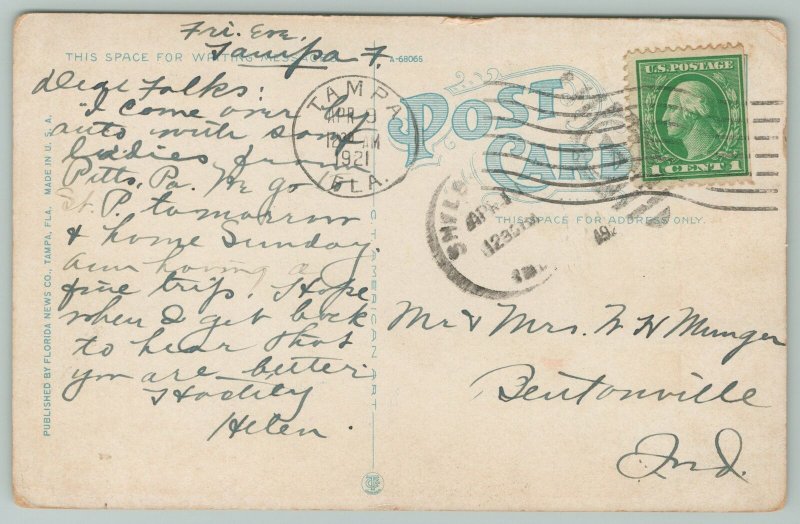 Shore Drive Florida~Beautiful Bay~1910s Postcard