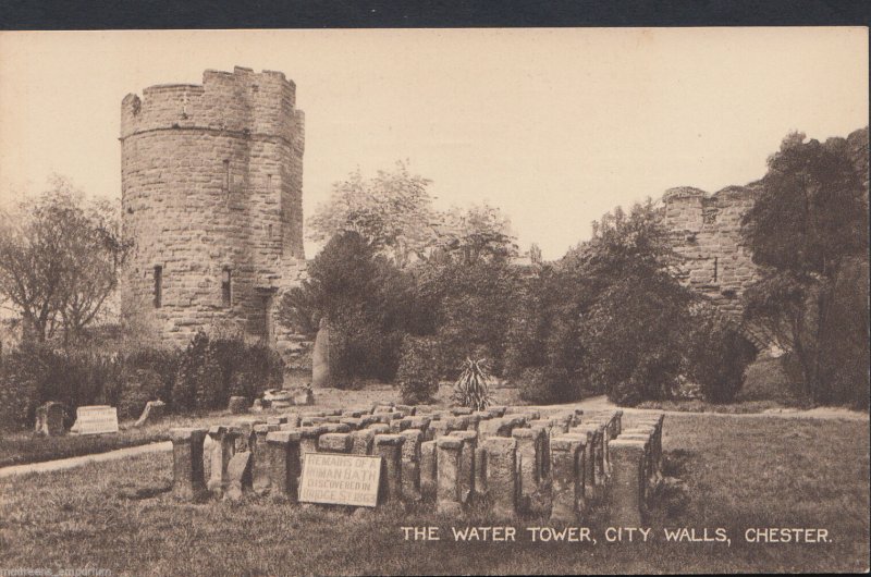 Cheshire Postcard - The Water Tower, City Walls, Chester   A6382