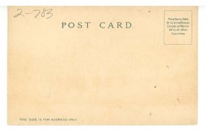 MA - Worcester. Apple Blossoms & Cows