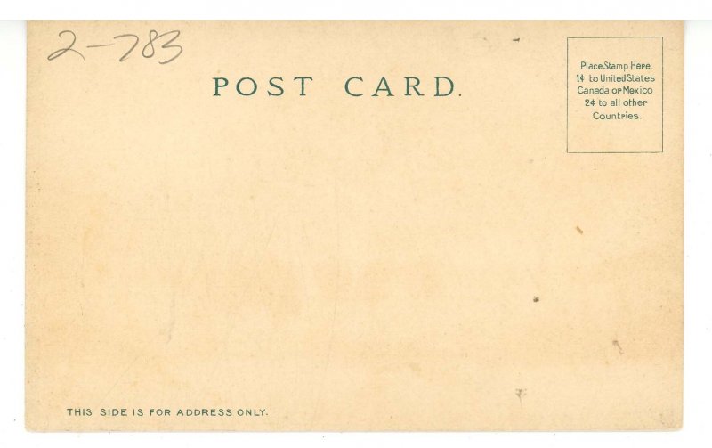 MA - Worcester. Apple Blossoms & Cows