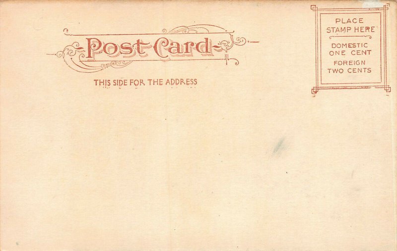 Elizabeth General Hospital, Elizabeth, New Jersey, Early Postcard, Unused 