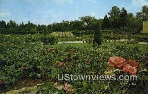 Tulsa Municipal Rose Garden - Oklahoma