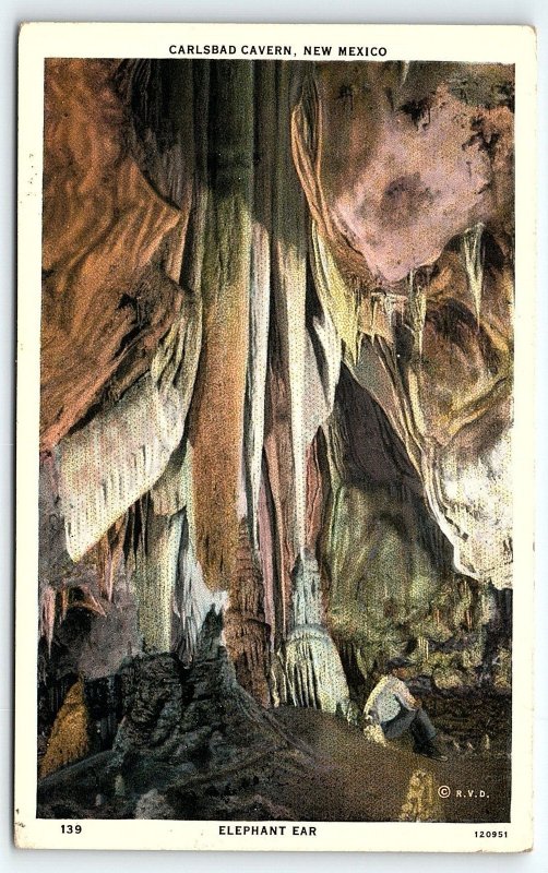 1930s CARLSBAD CAVERN NEW MEXICO ELEPHANT EAR POSTCARD P251