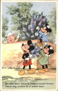 Mickey Mouse Picking Flowers Disney Pig DUTCH 54179/4  c1950s Postcard