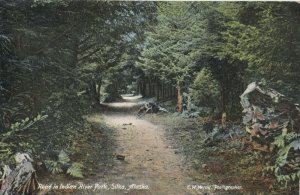 SITKA , Alaska , 1900-10s ; Road in Indian River Park