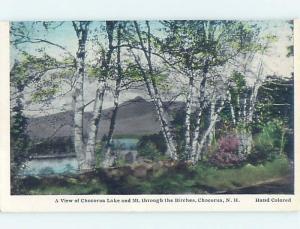 Damaged Trimmed W-Border LAKE SCENE Chocorua - Tamworth New Hampshire NH hp6667