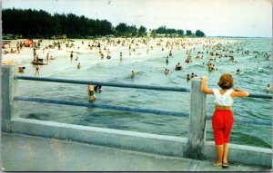 USA Beach West Coast Clearwater Beach Florida Chrome Postcard 09.73