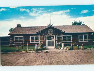 Unused Pre-1980 MUSEUM SCENE Miles City Montana MT d9153