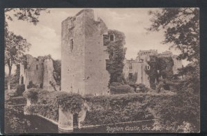 Wales Postcard - Raglan Castle, The Keep and Moat    RS18756
