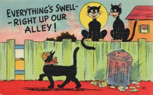 11119 Risque Alley Cats Comic Postcard