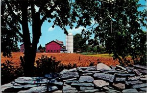 Down on the Farm Truxton Hosley Dexter Press Postcard Silo Crop Red Barn  