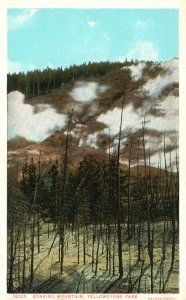 Vintage Postcard 1920's Roaring Mountain Yellowstone National Park Wyoming WY