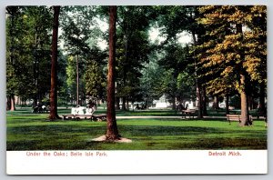 Detroit Michigan~Benches & Picnics Under The Oaks @ Belle Isle Park~Vintage PC