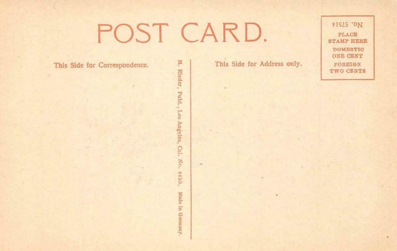 Entrance to Schilling Residence OAKLAND, CA In Winter c1910s Vintage Postcard