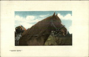 Horse Gipsy King c1910 Postcard